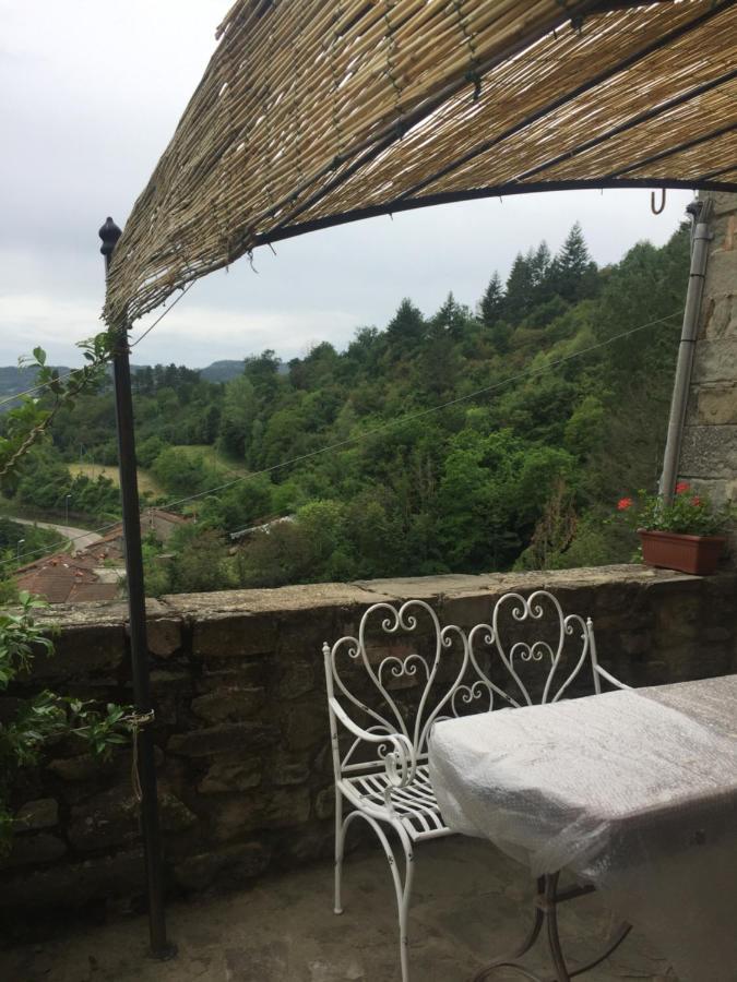 Castello Di Urbech Lejlighed Pratovecchio Eksteriør billede