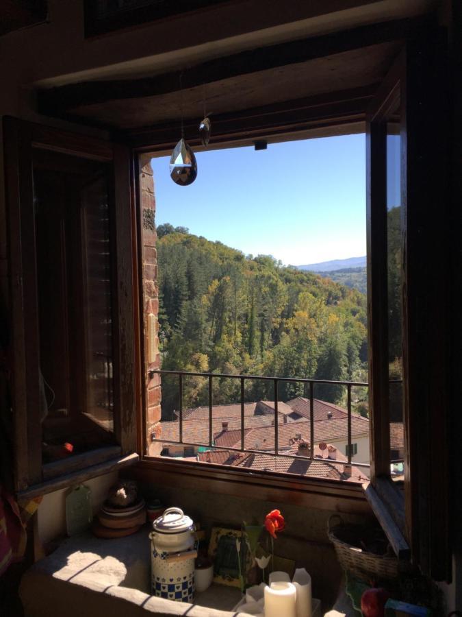Castello Di Urbech Lejlighed Pratovecchio Eksteriør billede