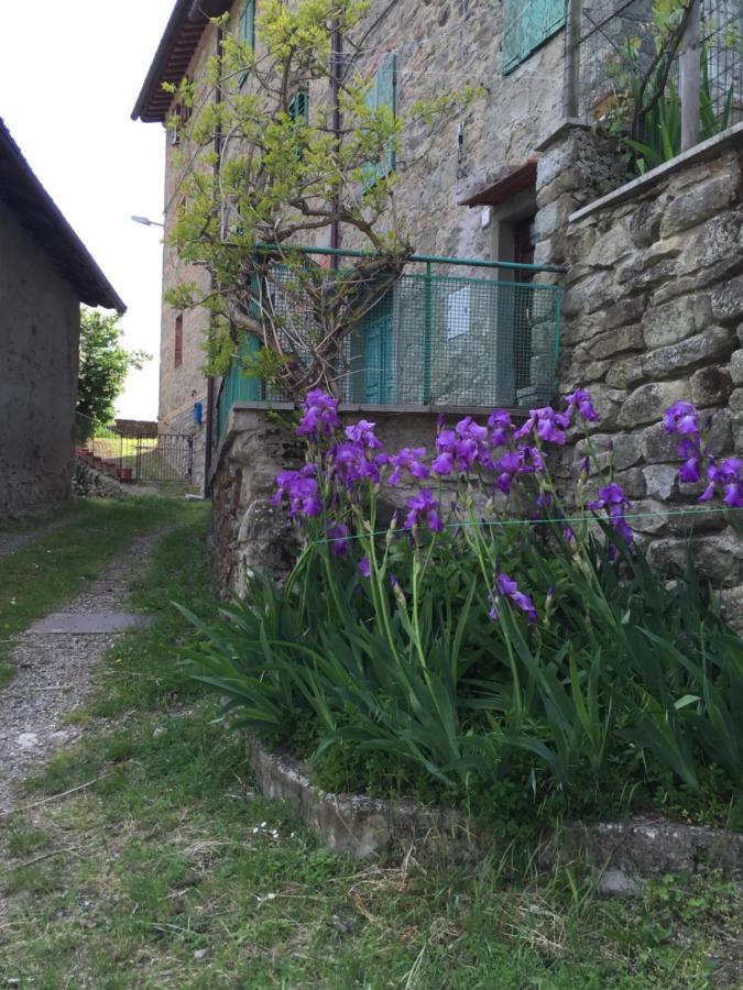 Castello Di Urbech Lejlighed Pratovecchio Eksteriør billede