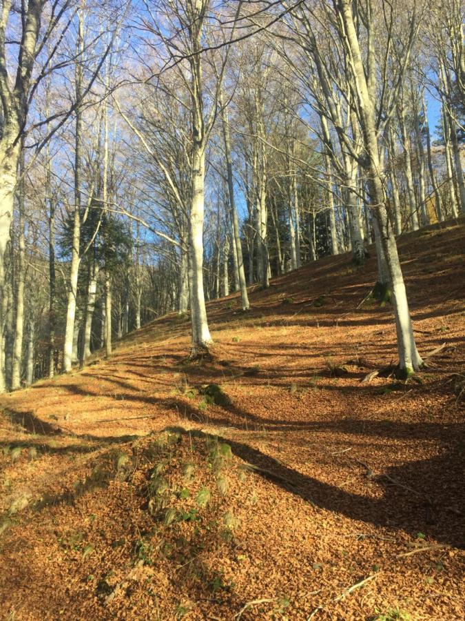 Castello Di Urbech Lejlighed Pratovecchio Eksteriør billede